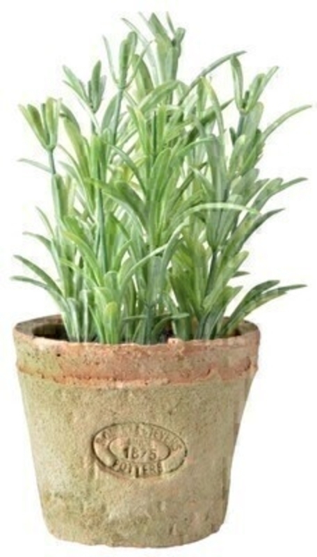 Artificial Rosemary plant with wooden plant label with the name of the herb (in Latin Dutch French German and English) in an aged terracotta pot. Size 13.5 x 13.5 x 20.4cm